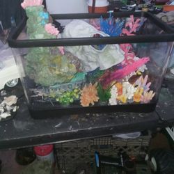 2 Aquariums