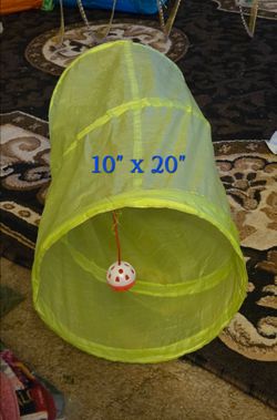 Cat Tunnel