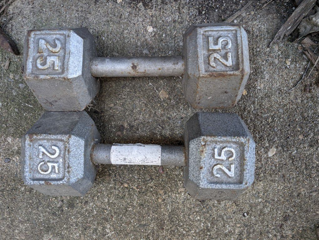 One Set Of Two 25LB Dumbells and One Set Of Two Pushup Bars