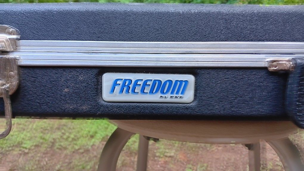 Bass Guitar Case