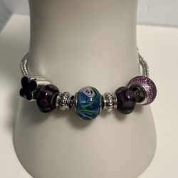 Adjustable Euro Charm Bracelet And Charms