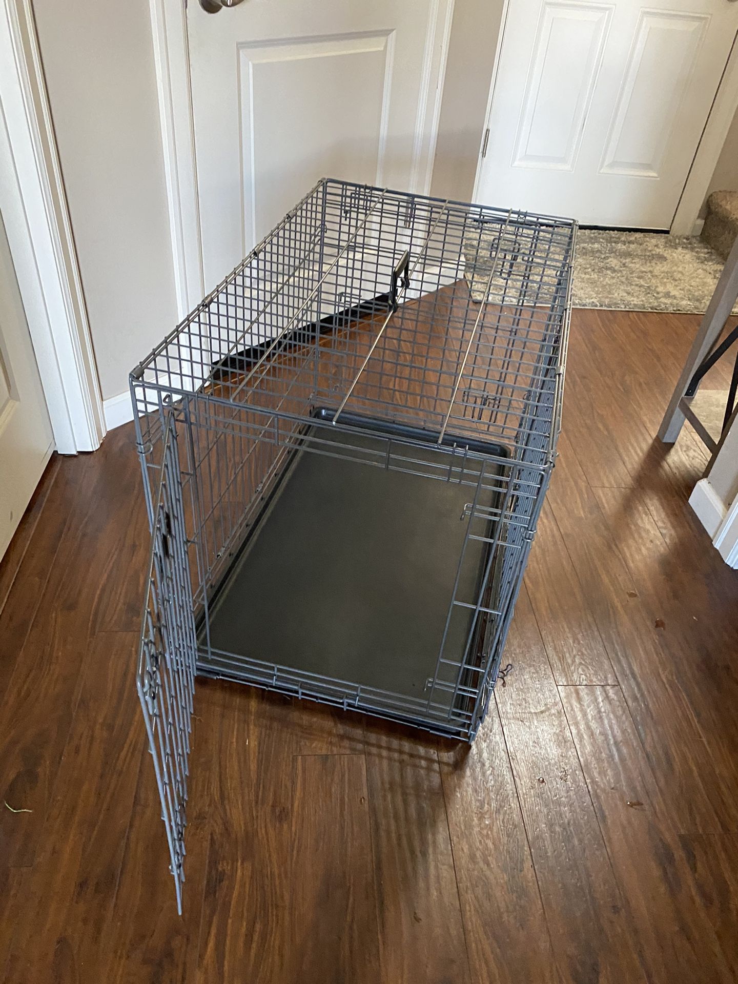 Medium Size Puppy Apartment
