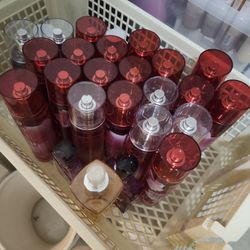 Japanese Cherry  Blossem