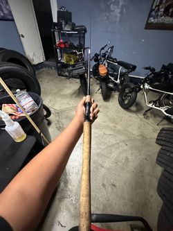 Diawa Procyon