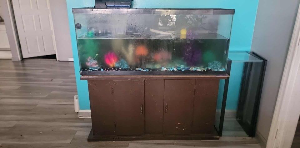 Fish Tank And Reptile Tank For Sale You Pick Up