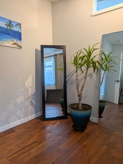 Dark brown full length mirror