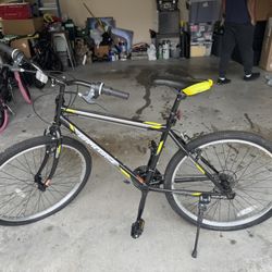 Adult Bike
