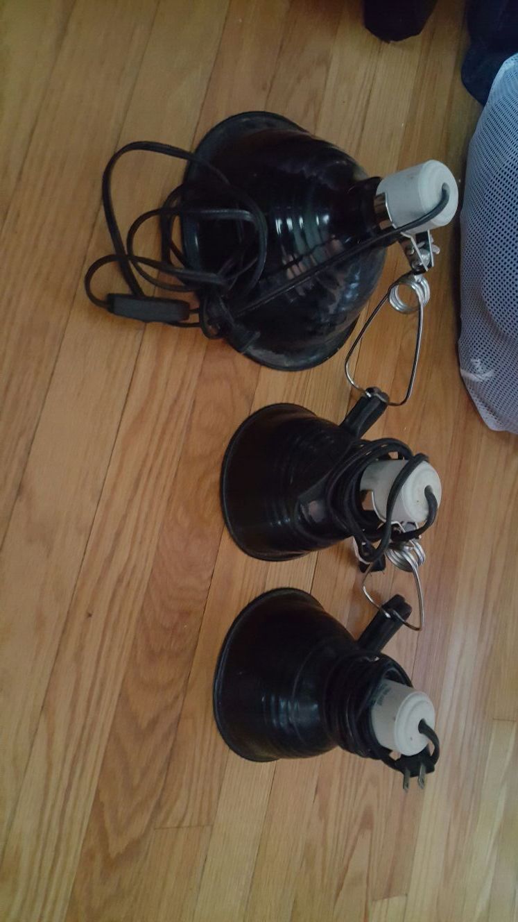 Spot light,basking lights etc