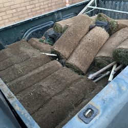 Sod
