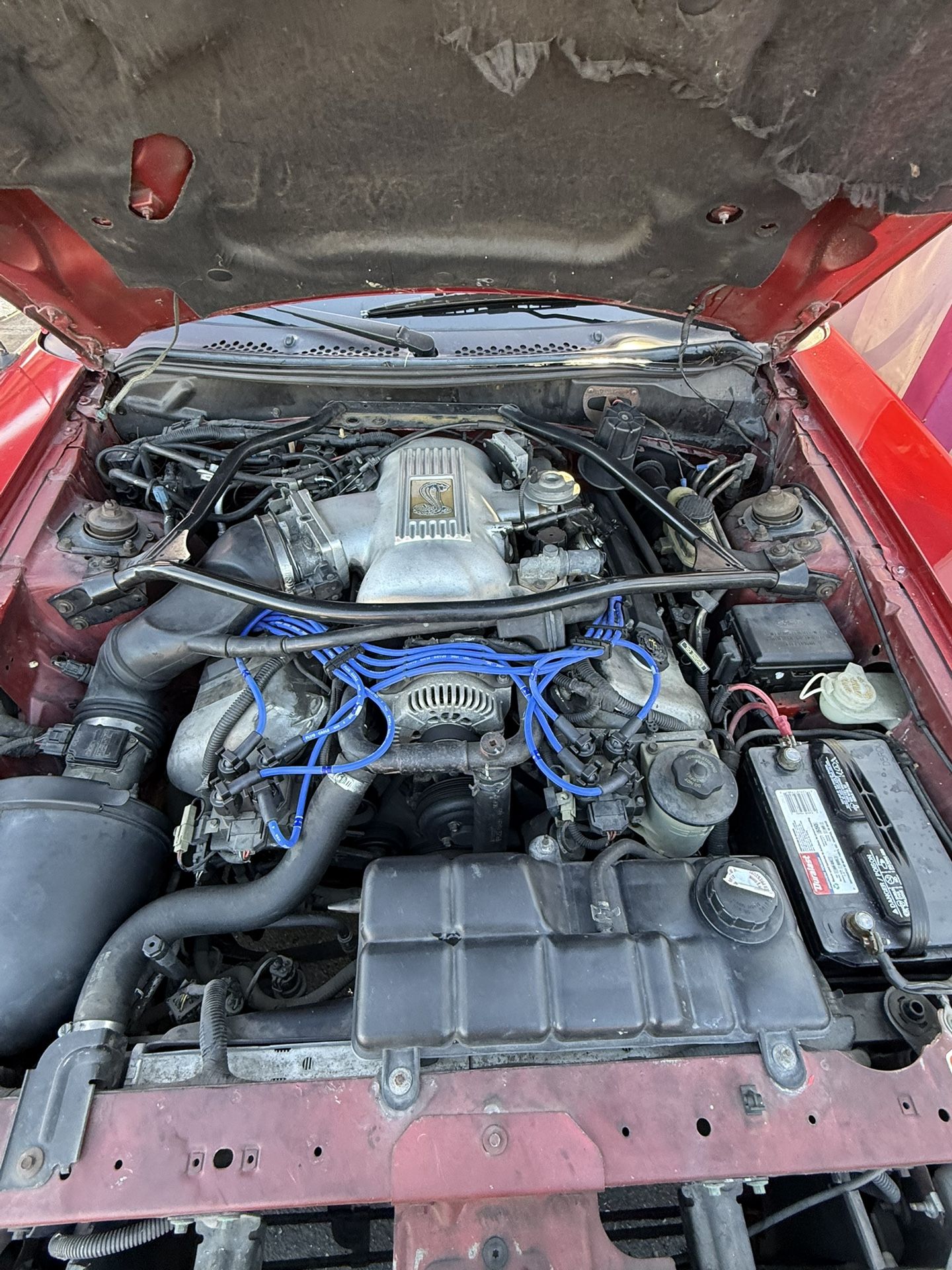 1996 Ford Mustang SVT Cobra