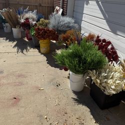 Beautiful Decorations 