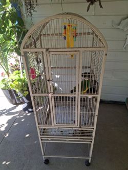 Bird cage