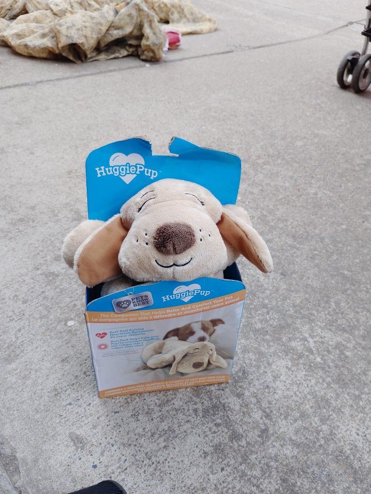 Huggy Pup Pat Knows Best