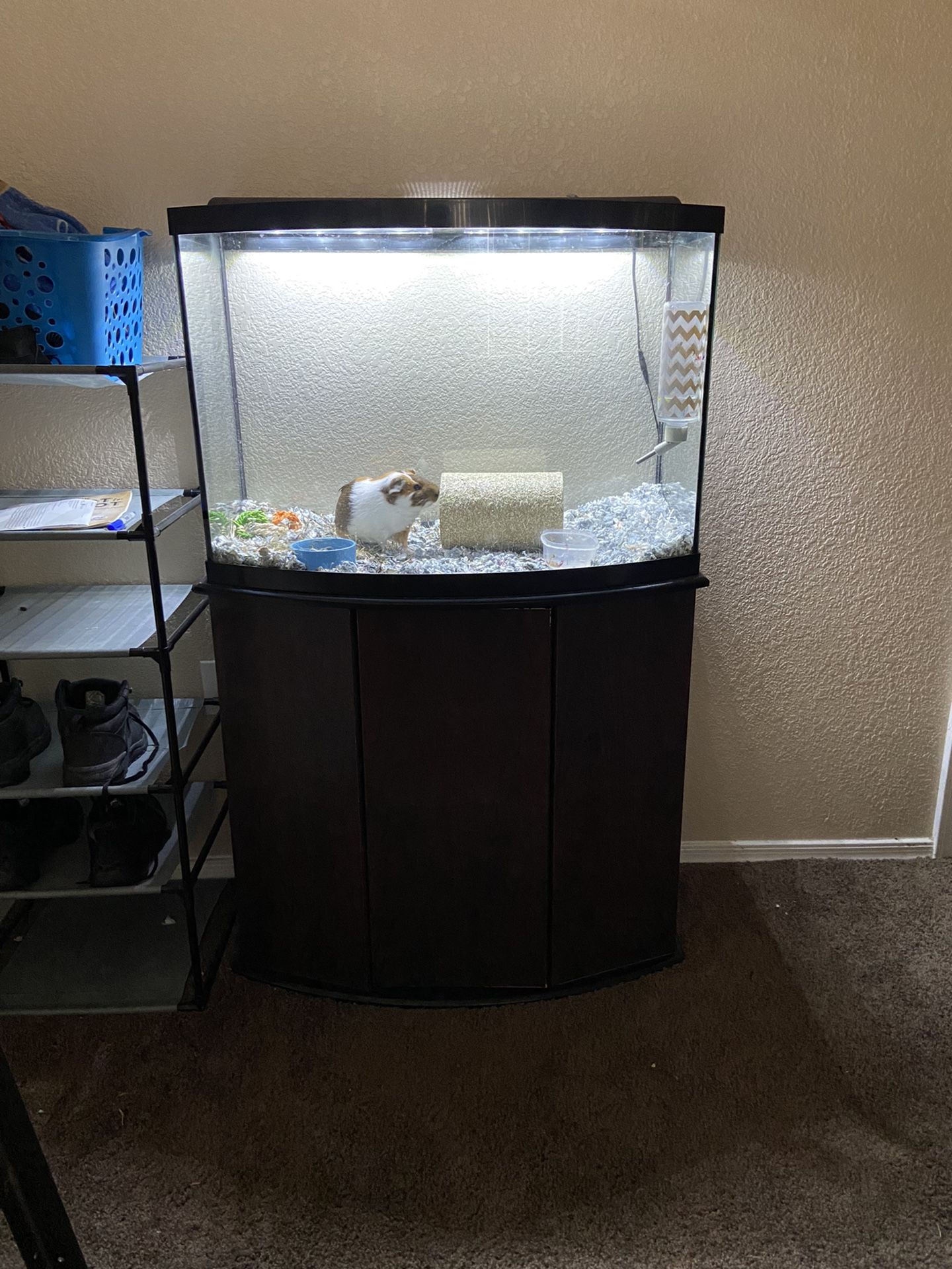 Fish/Reptile Tank Full Set 