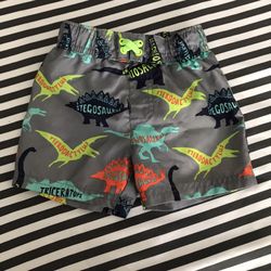 Toddler Bath suit (shorts)