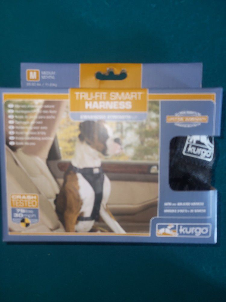 Harness And Seatbelt Tether