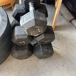 Rogue Plates And Dumbbells 
