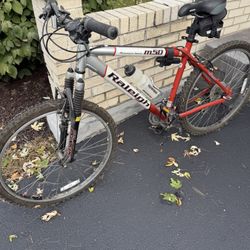 Raleigh 24 Speed Mountain Bike