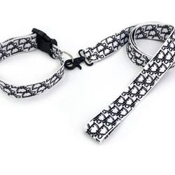Dog Leash & Collar Set. Harness sold separately.