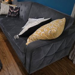 Rehoming Cute Grey Couch