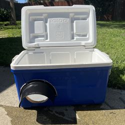 Coyote Safe Igloo Shelter