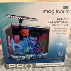 Imagitairum 3.7 Gal Glass Fish Tank