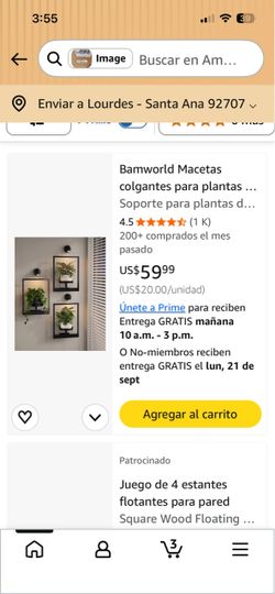 Bamworld Macetas colgantes para plantas de interior, decoración de pared Soporte para plantas de pared para interiores, estantes de ventana para plant