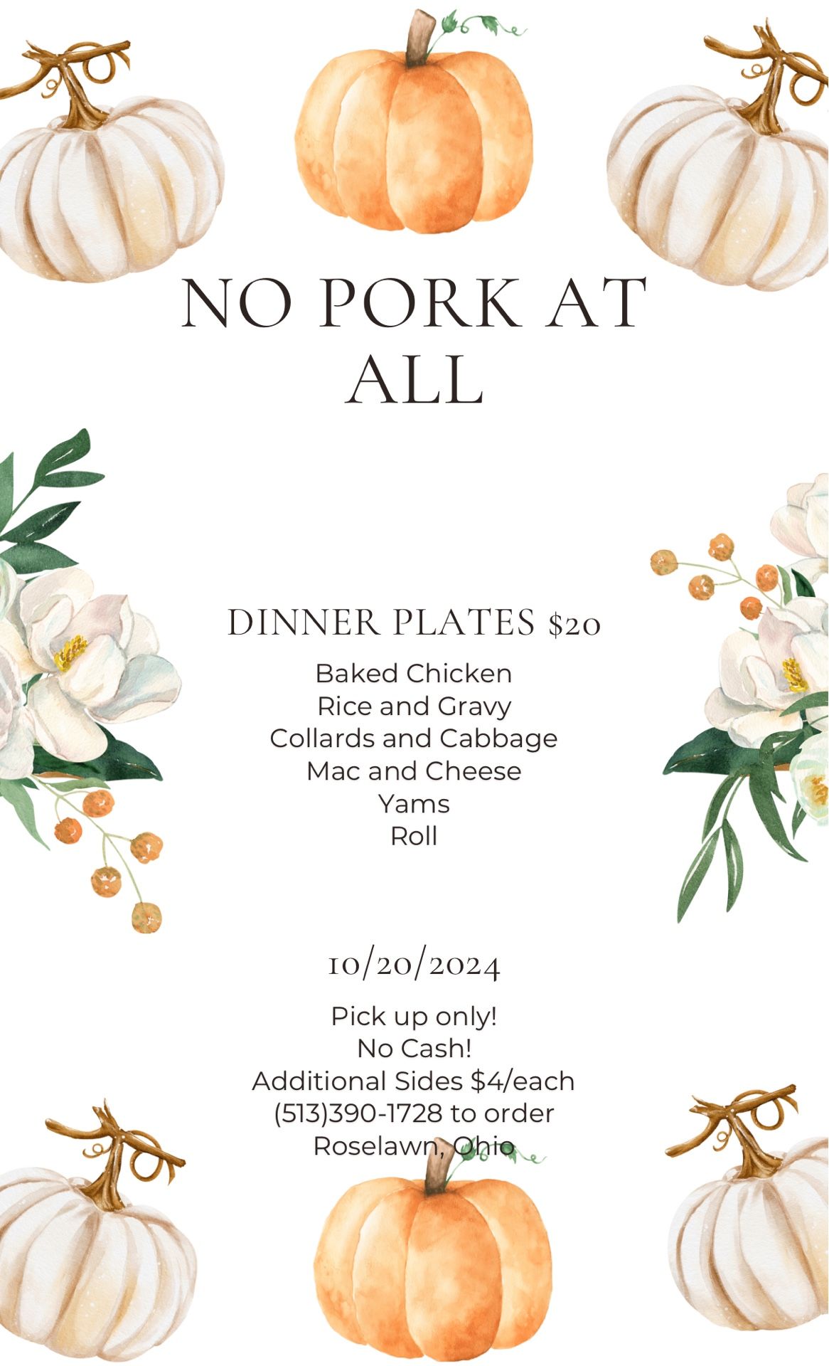 Full Introductory Dinner plates