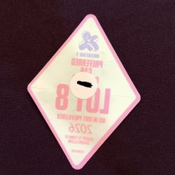 Coachella Preferred car Camping Wk1