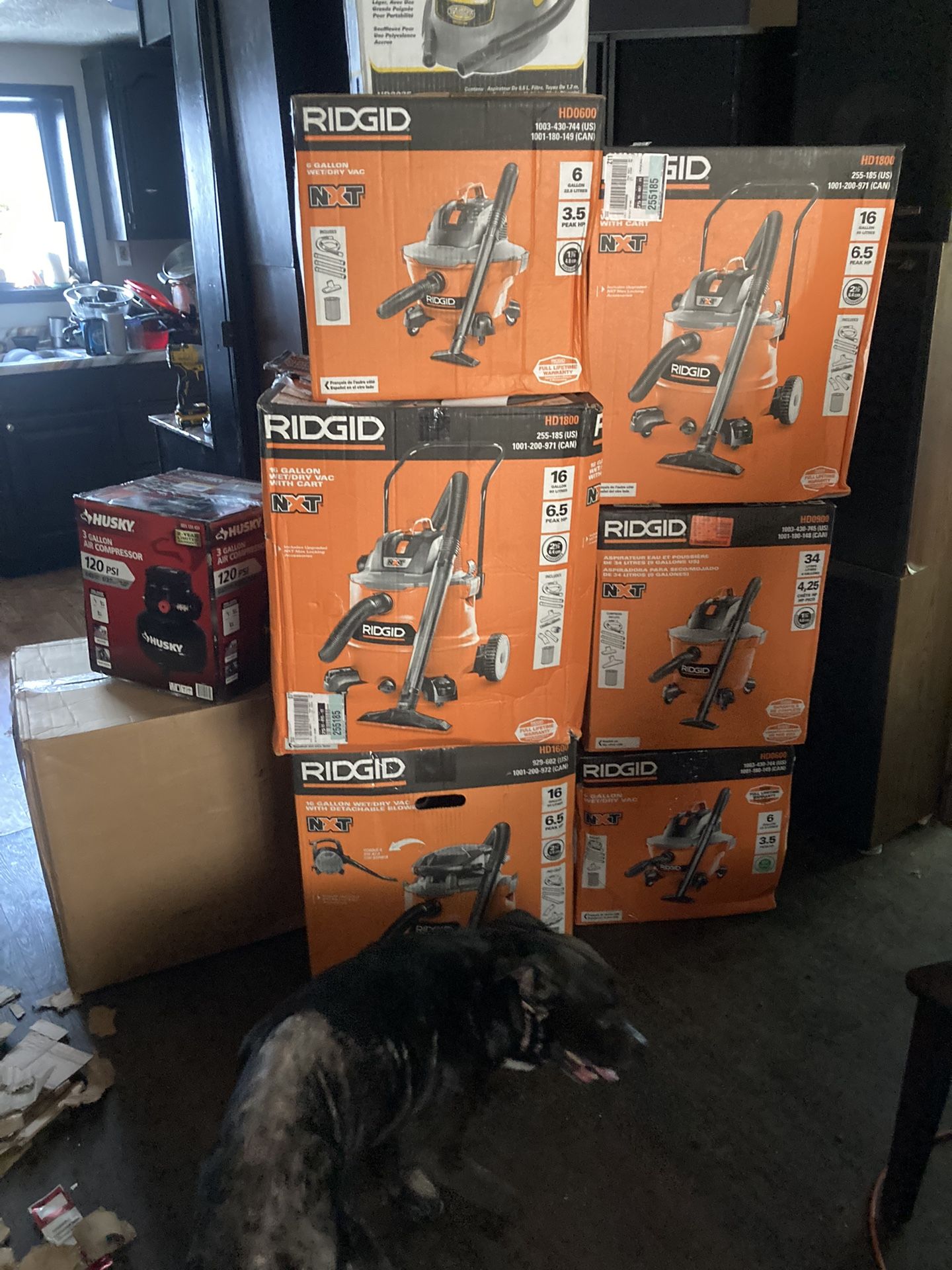 Wet Dry Vac