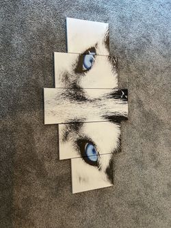 Canvas Artwork- Husky Eyes