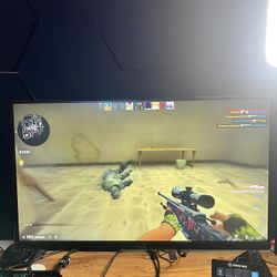 Monitor Gamer Asus ROG Swift Esports 24.5'' Fast Ips FHD 360Hz 1ms