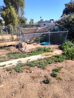 Chicken/ duck coop...