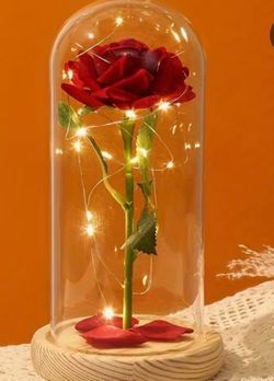 Single red rose light up dome
