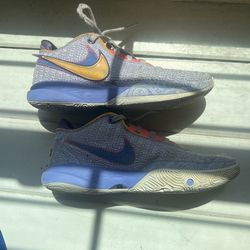 Lebron 20s Purple and Gold
