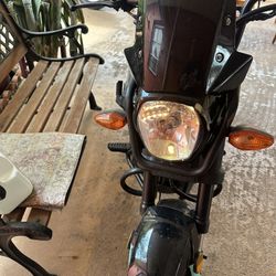 2024  Itálica Bulldog