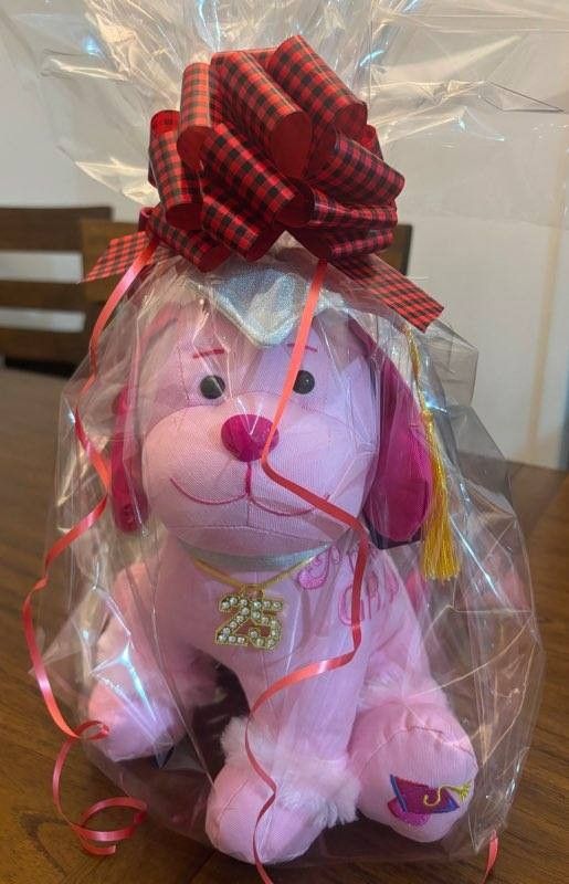 Graduation Puppy Plushie