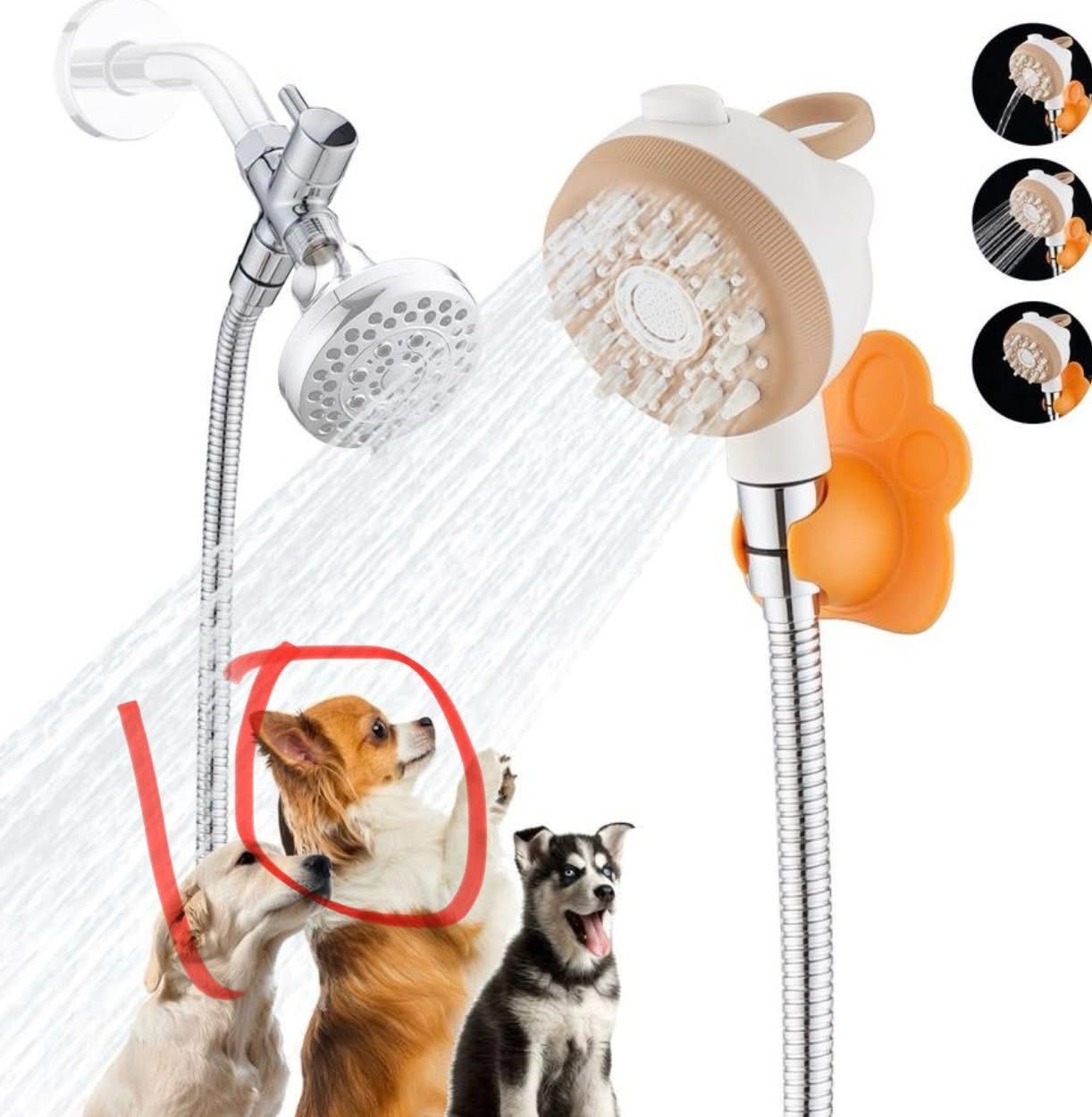 Shower Head