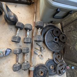 Weights Dumbells And Bench/squat Rack