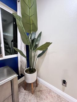 Artificial Plant