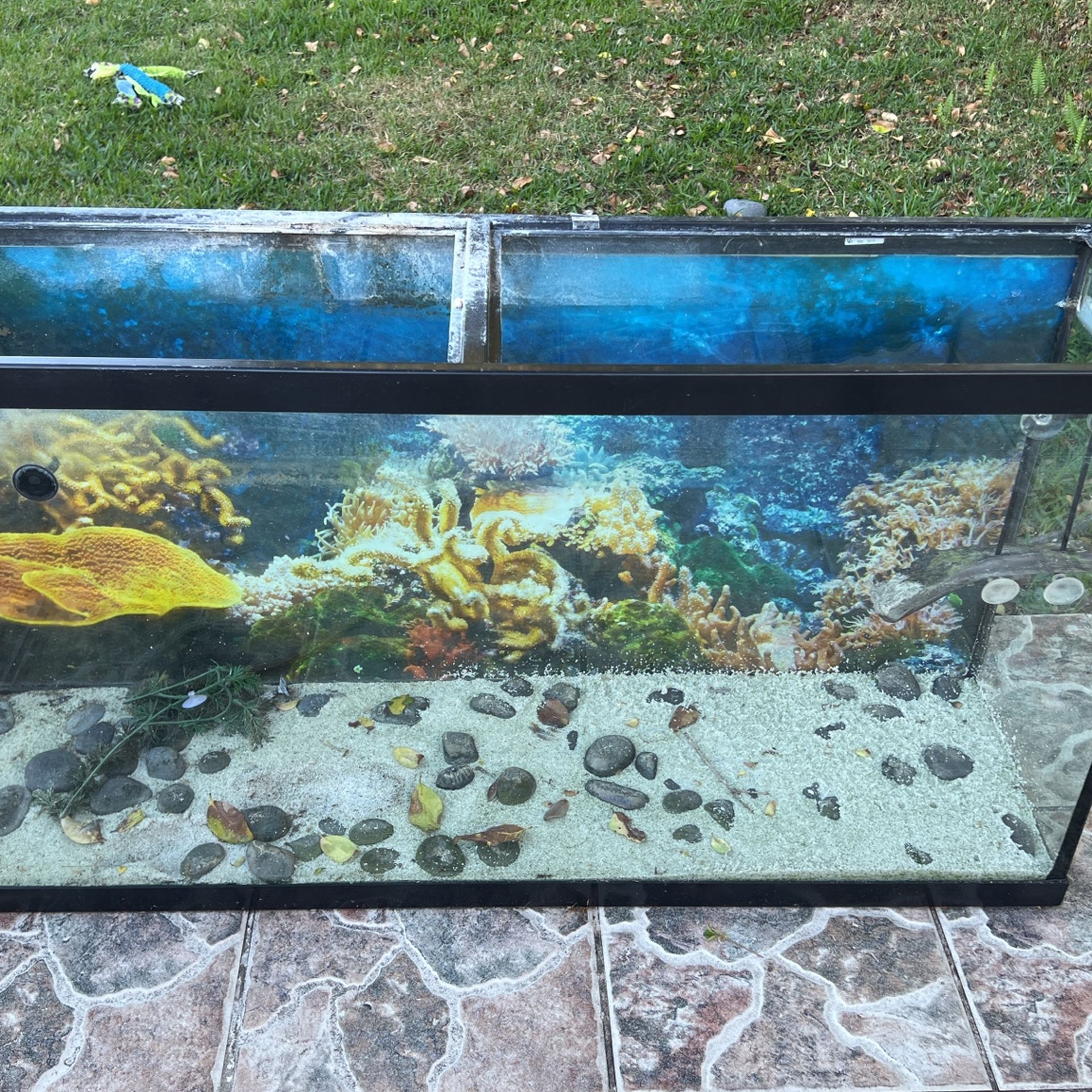 60 Gallon Fish Tank With Stand 
