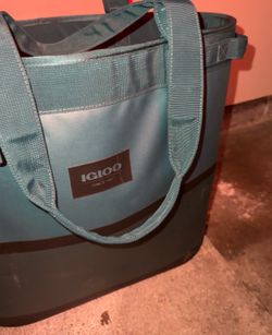 Igloo tailgate cooler
