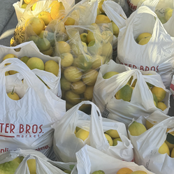 Bag of lemons $10
