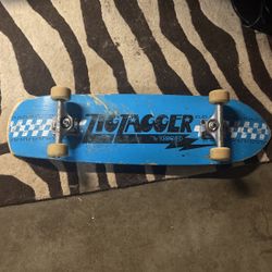 Zig Zagger Cruiser Board