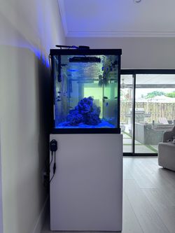 Saltwater Reef Aquarium Tank with Stand and Light