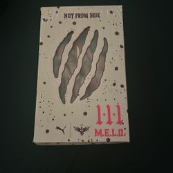 Indoor Basketball Shoes