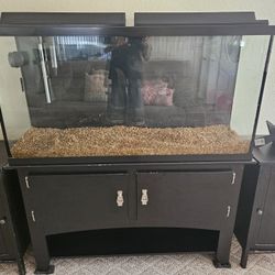 60 Gallon Fish Tank 
