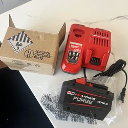 Battery 12 ah y cargador rápido