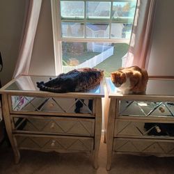 End Tables/Night Stands