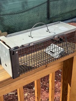 Havahart 0745 Single-Door Animal Trap for Squirrels, Rats, and Weasels, Extra Small